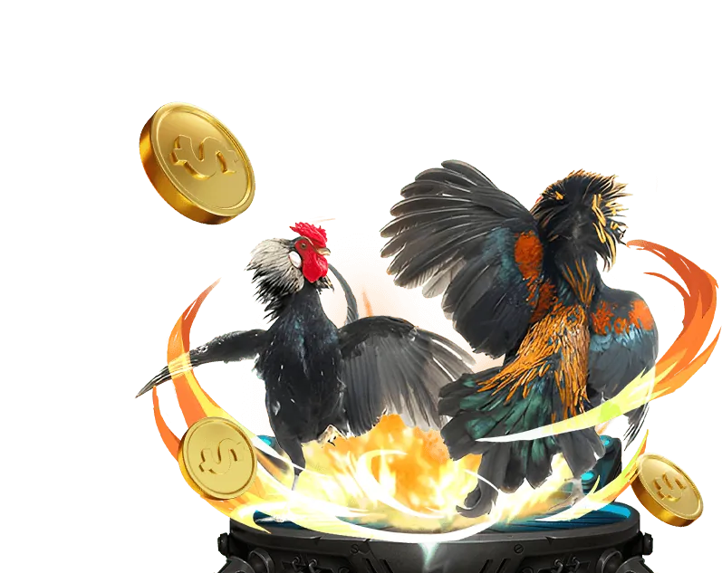 Hình ảnh minh họa chiến thuật đá gà hiệu quả tại alo 789